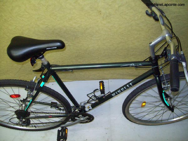 Vélo Minelli Dinastie - StephaneLapointe.com