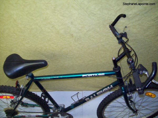 Vélo Raleigh Portage - StephaneLapointe.com