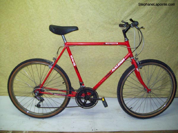 Vélo Raleigh Tomahawk - StephaneLapointe.com