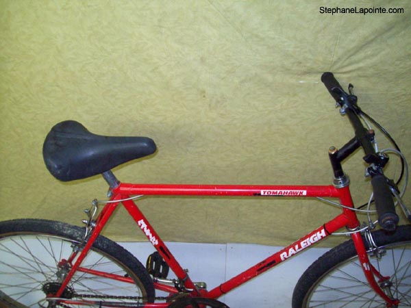 Vélo Raleigh Tomahawk - StephaneLapointe.com