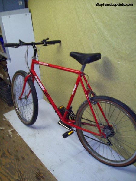 Vélo Raleigh Tomahawk - StephaneLapointe.com