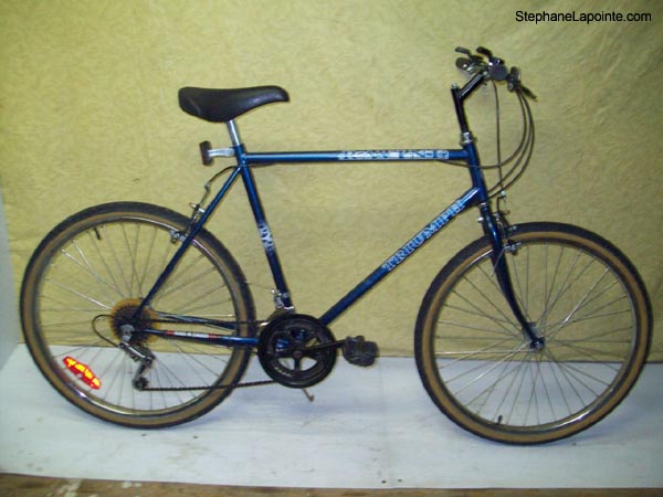 Vélo Triumph Ravine - StephaneLapointe.com