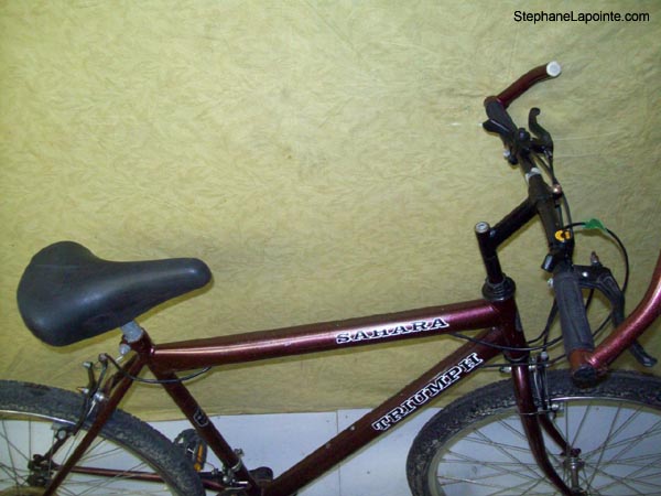 Vélo Triumph Sahara - StephaneLapointe.com