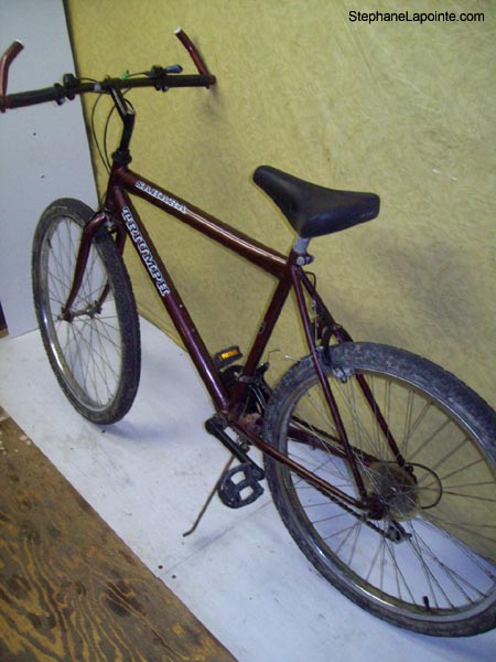 Vélo Triumph Sahara - StephaneLapointe.com
