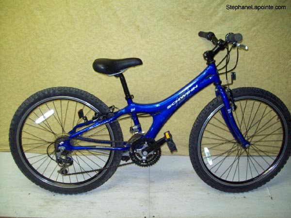 Vélo Schwinn Speedster - StephaneLapointe.com