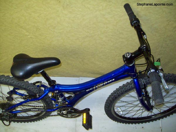 Vélo Schwinn Speedster - StephaneLapointe.com