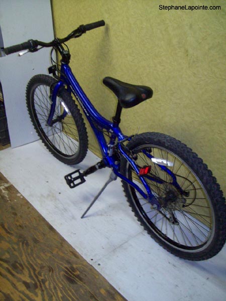 Vélo Schwinn Speedster - StephaneLapointe.com