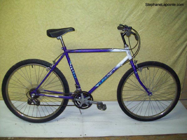 Vélo Leader  - StephaneLapointe.com