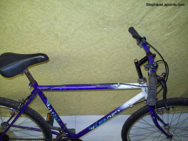Vélo Leader  - StephaneLapointe.com