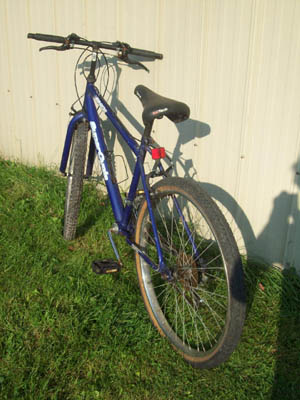 Vélo Supercycle Breeze - StephaneLapointe.com