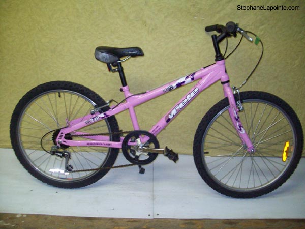 Vélo Miele BB240 - StephaneLapointe.com