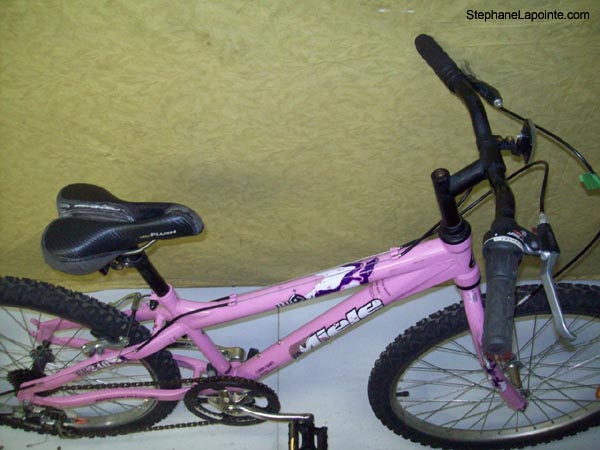 Vélo Miele BB240 - StephaneLapointe.com
