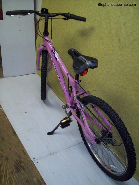 Vélo Miele BB240 - StephaneLapointe.com