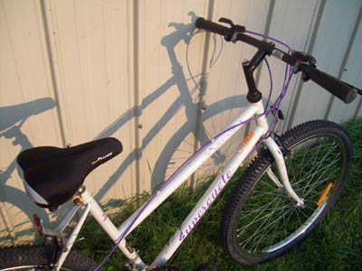 Vélo Supercycle Ascent - StephaneLapointe.com