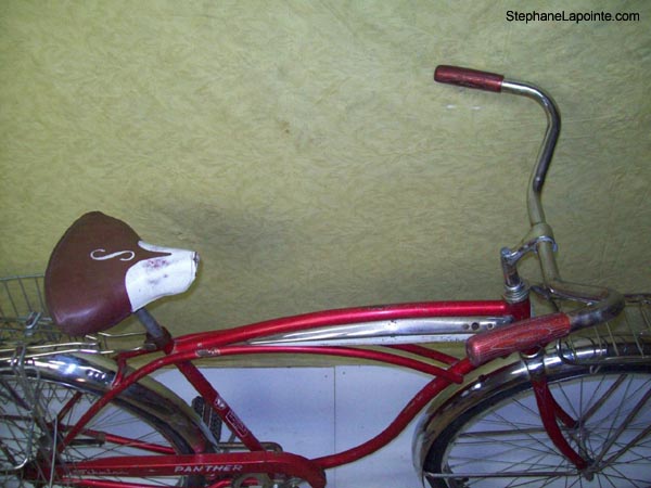 Vélo Schwinn Panther - StephaneLapointe.com