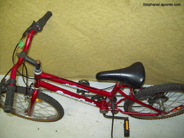 Vélo Supercycle SC500 - StephaneLapointe.com