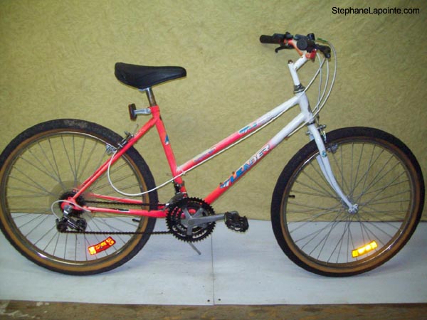 Vélo Leader LE 60741 - StephaneLapointe.com
