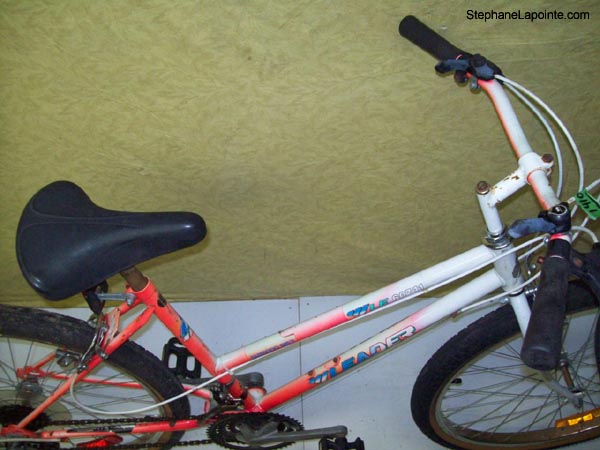Vélo Leader LE 60741 - StephaneLapointe.com