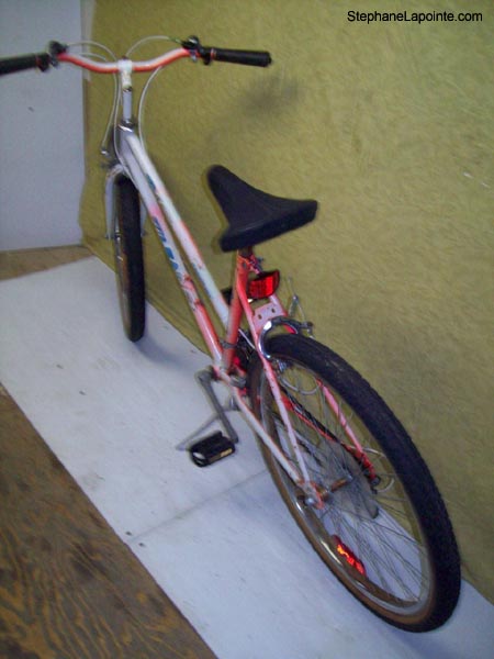 Vélo Leader LE 60741 - StephaneLapointe.com