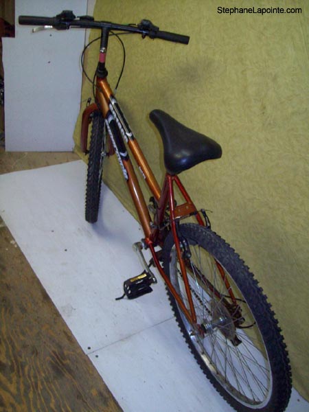 Vélo Supercycle SC1800 - StephaneLapointe.com