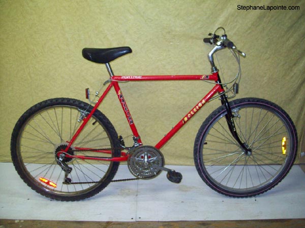 Vélo Raleigh Portage - StephaneLapointe.com