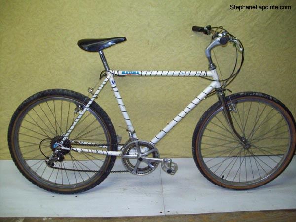 Vélo Raleigh Zebra repainted - StephaneLapointe.com
