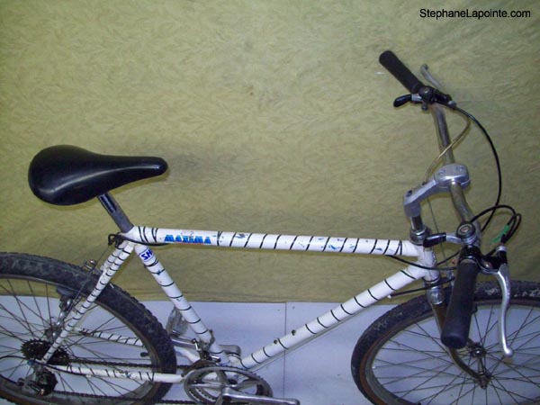 Vélo Raleigh Zebra repainted - StephaneLapointe.com