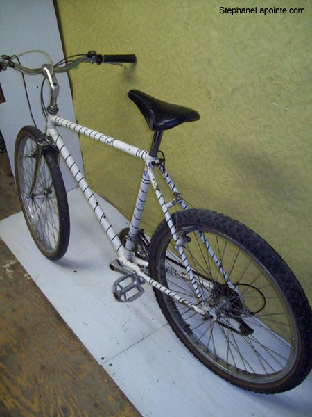 Vélo Raleigh Zebra repainted - StephaneLapointe.com