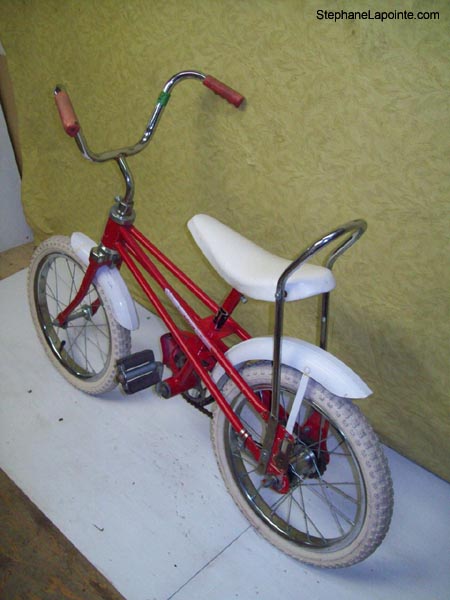 Vélo Precision  - StephaneLapointe.com