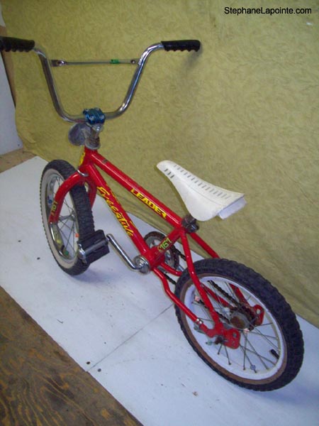 Vélo Leader LE 161 Freestyle - StephaneLapointe.com
