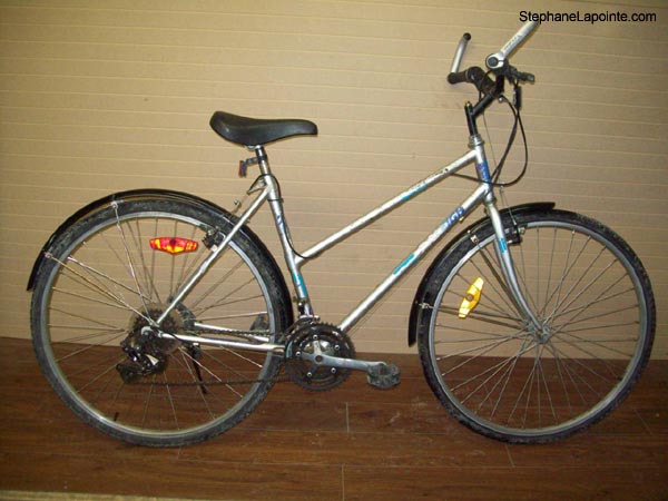 Vélo Raleigh Montage - StephaneLapointe.com