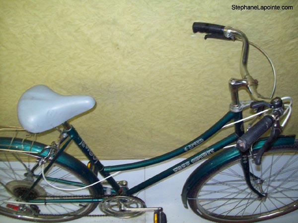 Vélo Free Spirit FS300 - StephaneLapointe.com