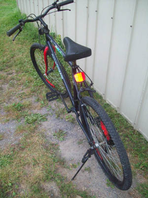Vélo Pro Tour Cheetah 12 - StephaneLapointe.com
