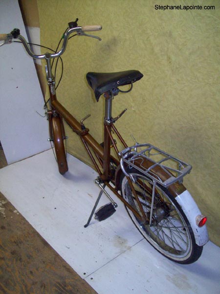 Vélo Raleigh Twenty Folder - StephaneLapointe.com