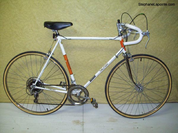 Vélo Raleigh Record - StephaneLapointe.com