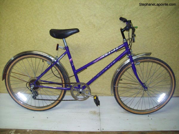 Vélo Niji Citadin - StephaneLapointe.com
