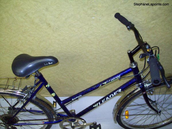 Vélo Leader 60706 - StephaneLapointe.com