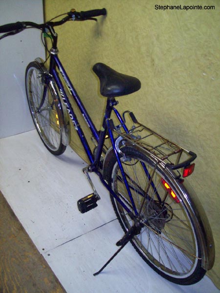 Vélo Leader 60706 - StephaneLapointe.com