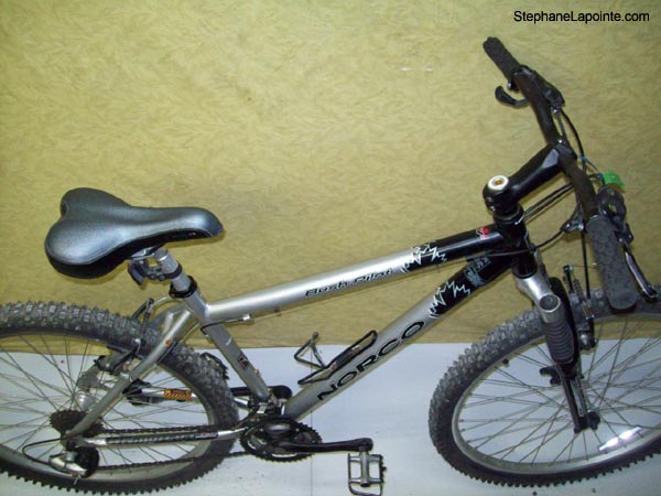 Vélo Norco Bush Pilot - StephaneLapointe.com