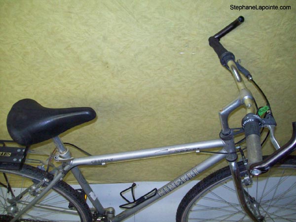 Vélo Minelli Dynastie - StephaneLapointe.com