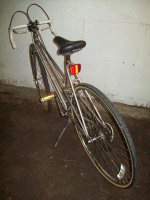 Vélo CCM Plus Equipe XL - StephaneLapointe.com
