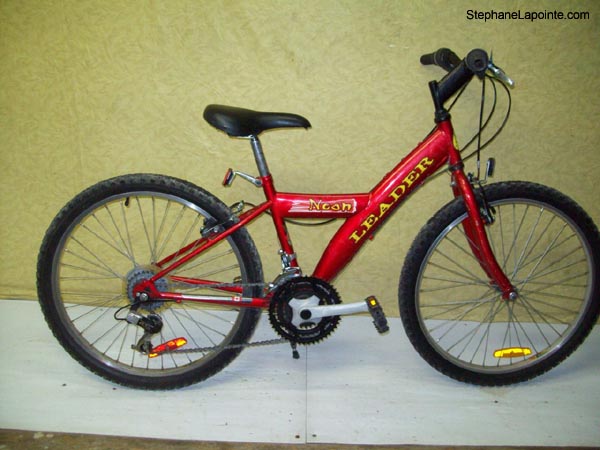 Vélo Leader Neon - StephaneLapointe.com