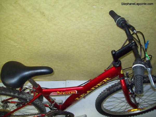 Vélo Leader Neon - StephaneLapointe.com