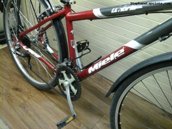 Vélo Miele Umbria 100 - StephaneLapointe.com