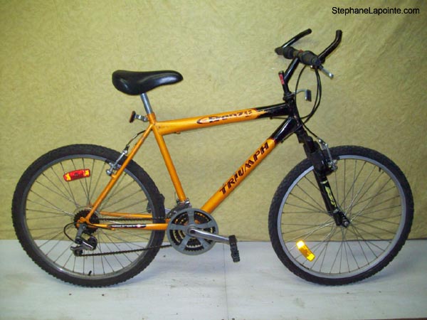 Vélo Triumph Frenzy - StephaneLapointe.com