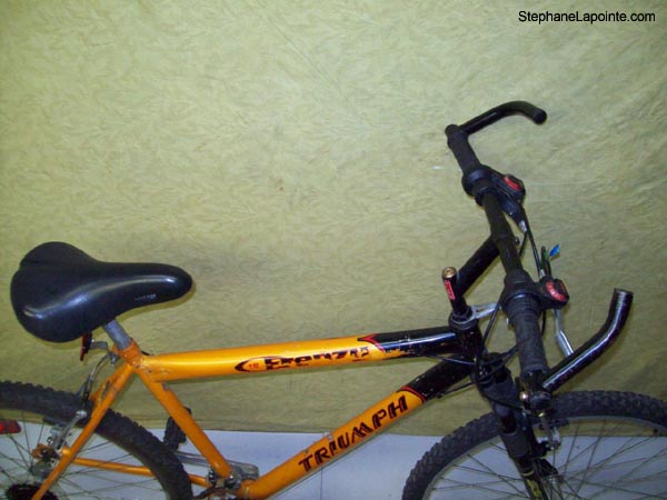 Vélo Triumph Frenzy - StephaneLapointe.com