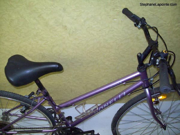 Vélo Bonelli Lite1 - StephaneLapointe.com