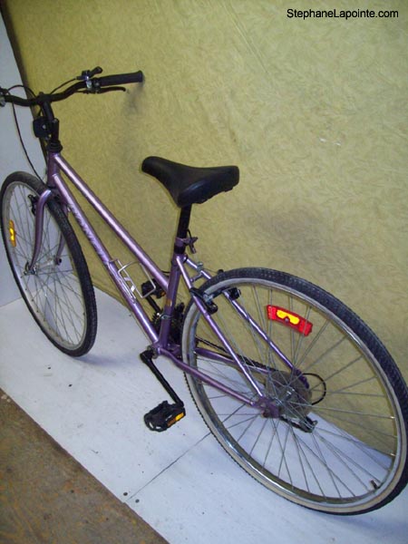 Vélo Bonelli Lite1 - StephaneLapointe.com