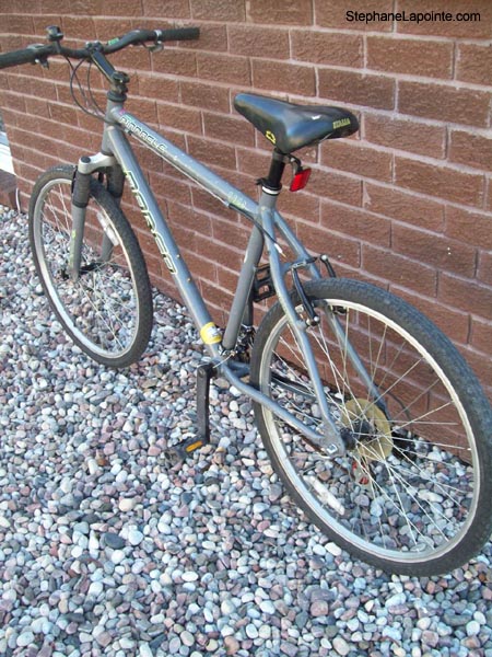 Vélo Norco Pinnacle - StephaneLapointe.com