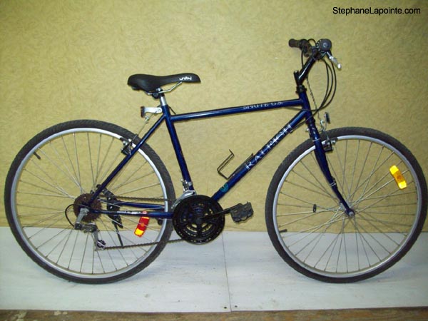 Vélo Raleigh Sprite G.S. - StephaneLapointe.com